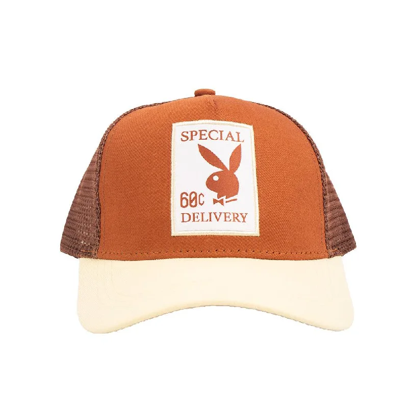 SPECIAL DELIVERY PACKAGE TRUCKER HAT