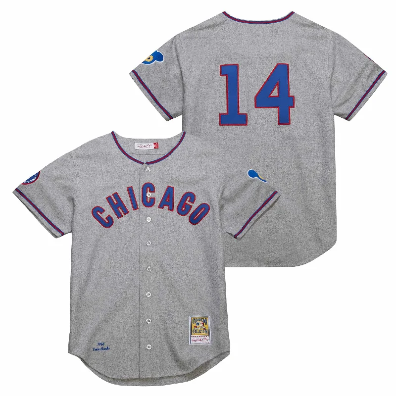 Chicago Cubs Ernie Banks 1968 Mitchell & Ness Authentic Road Jersey